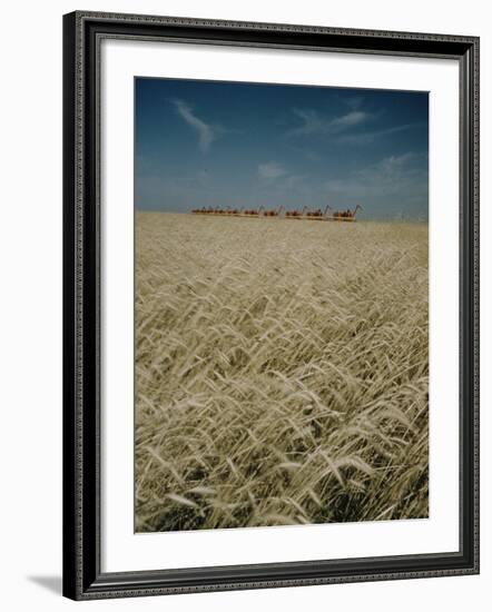 Harvest Story: Combines Harvest Wheat at Ranch in Texas-Ralph Crane-Framed Photographic Print