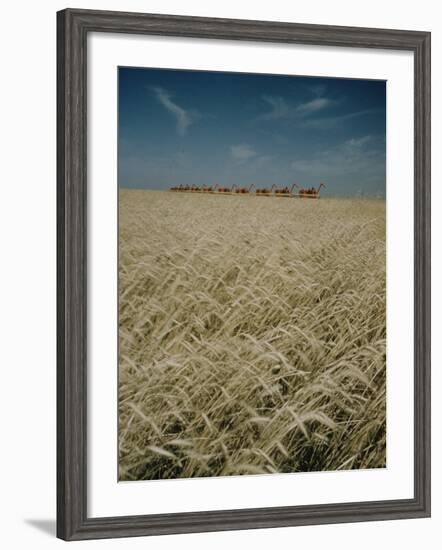 Harvest Story: Combines Harvest Wheat at Ranch in Texas-Ralph Crane-Framed Photographic Print