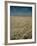 Harvest Story: Combines Harvest Wheat at Ranch in Texas-Ralph Crane-Framed Photographic Print