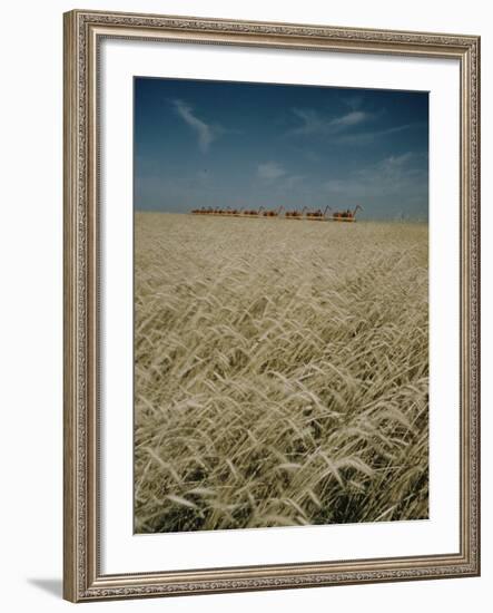 Harvest Story: Combines Harvest Wheat at Ranch in Texas-Ralph Crane-Framed Photographic Print