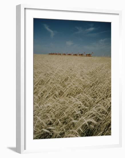 Harvest Story: Combines Harvest Wheat at Ranch in Texas-Ralph Crane-Framed Photographic Print