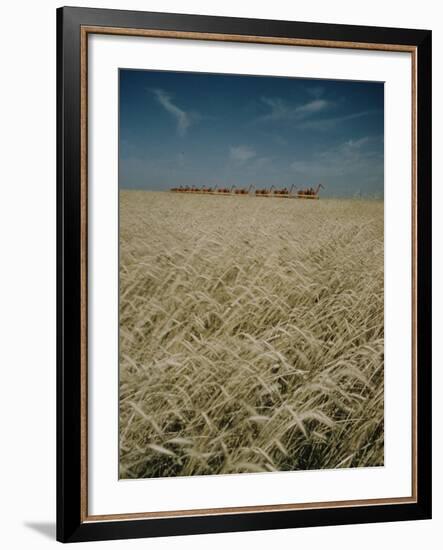 Harvest Story: Combines Harvest Wheat at Ranch in Texas-Ralph Crane-Framed Photographic Print