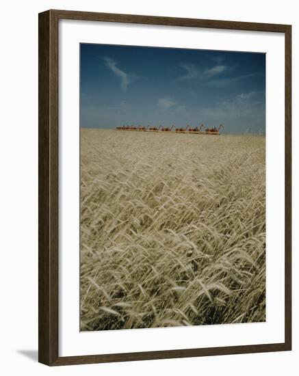 Harvest Story: Combines Harvest Wheat at Ranch in Texas-Ralph Crane-Framed Photographic Print