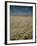 Harvest Story: Combines Harvest Wheat at Ranch in Texas-Ralph Crane-Framed Photographic Print