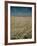 Harvest Story: Combines Harvest Wheat at Ranch in Texas-Ralph Crane-Framed Photographic Print