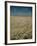 Harvest Story: Combines Harvest Wheat at Ranch in Texas-Ralph Crane-Framed Photographic Print