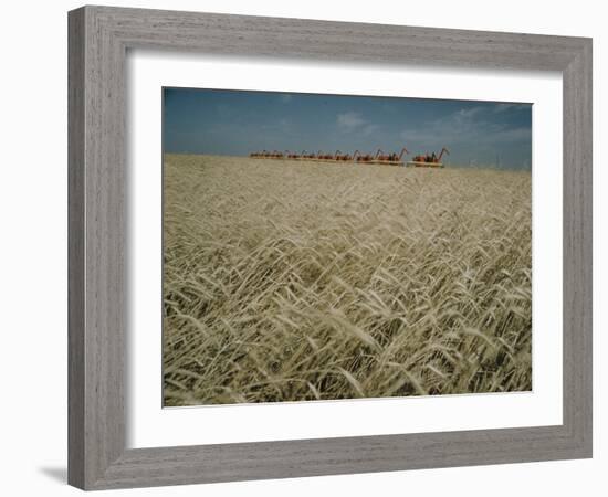 Harvest Story: Combines Harvest Wheat at Ranch in Texas-Ralph Crane-Framed Photographic Print