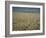 Harvest Story: Combines Harvest Wheat at Ranch in Texas-Ralph Crane-Framed Photographic Print