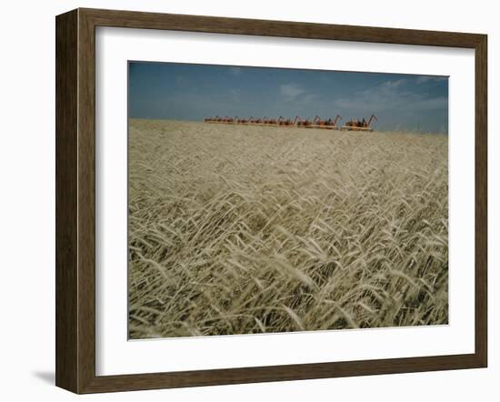 Harvest Story: Combines Harvest Wheat at Ranch in Texas-Ralph Crane-Framed Photographic Print