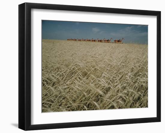 Harvest Story: Combines Harvest Wheat at Ranch in Texas-Ralph Crane-Framed Photographic Print