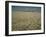 Harvest Story: Combines Harvest Wheat at Ranch in Texas-Ralph Crane-Framed Photographic Print