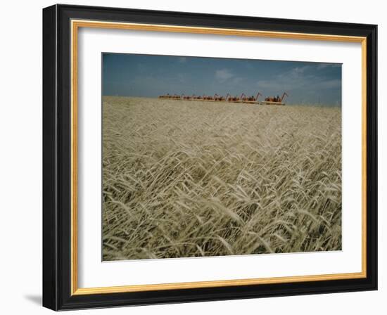 Harvest Story: Combines Harvest Wheat at Ranch in Texas-Ralph Crane-Framed Photographic Print