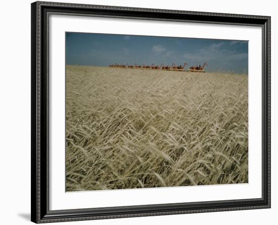 Harvest Story: Combines Harvest Wheat at Ranch in Texas-Ralph Crane-Framed Photographic Print