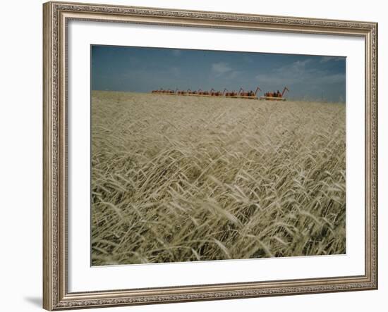 Harvest Story: Combines Harvest Wheat at Ranch in Texas-Ralph Crane-Framed Photographic Print