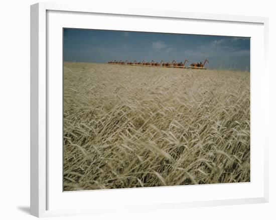 Harvest Story: Combines Harvest Wheat at Ranch in Texas-Ralph Crane-Framed Photographic Print