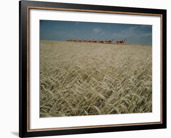 Harvest Story: Combines Harvest Wheat at Ranch in Texas-Ralph Crane-Framed Photographic Print