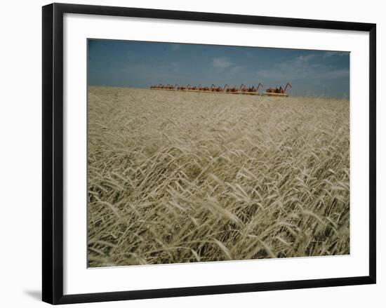 Harvest Story: Combines Harvest Wheat at Ranch in Texas-Ralph Crane-Framed Photographic Print