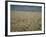 Harvest Story: Combines Harvest Wheat at Ranch in Texas-Ralph Crane-Framed Photographic Print