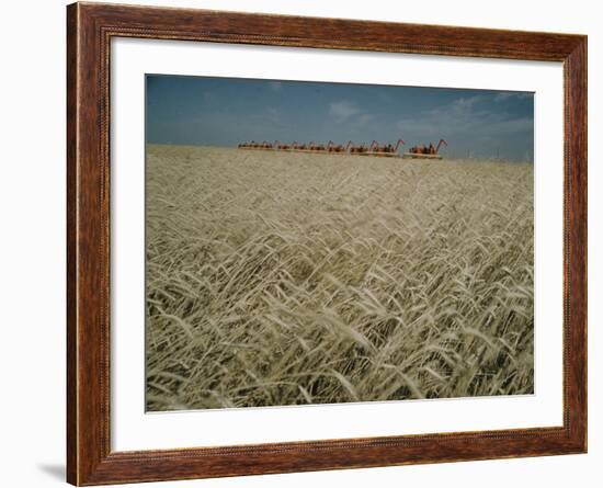 Harvest Story: Combines Harvest Wheat at Ranch in Texas-Ralph Crane-Framed Photographic Print