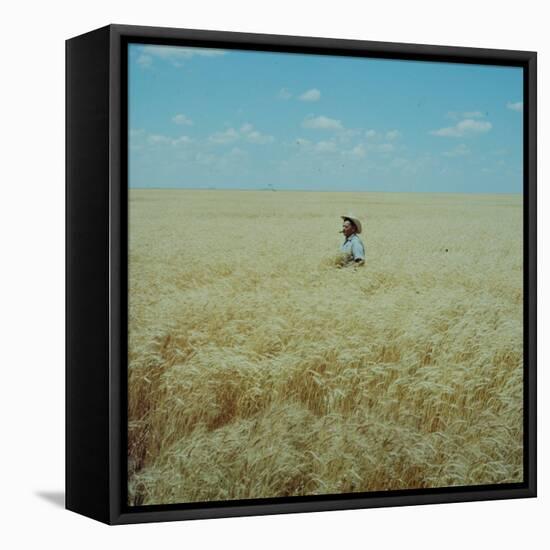 Harvest Story: Farmer Stands Chest Deep in Wheat, Texas-Ralph Crane-Framed Premier Image Canvas