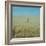 Harvest Story: Farmer Stands Chest Deep in Wheat, Texas-Ralph Crane-Framed Photographic Print