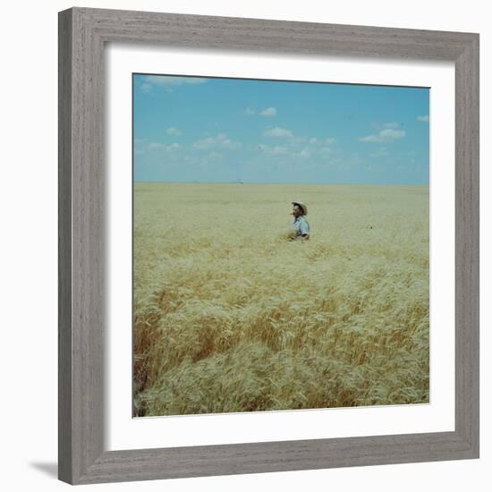 Harvest Story: Farmer Stands Chest Deep in Wheat, Texas-Ralph Crane-Framed Photographic Print
