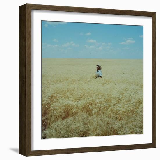 Harvest Story: Farmer Stands Chest Deep in Wheat, Texas-Ralph Crane-Framed Photographic Print