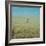 Harvest Story: Farmer Stands Chest Deep in Wheat, Texas-Ralph Crane-Framed Photographic Print