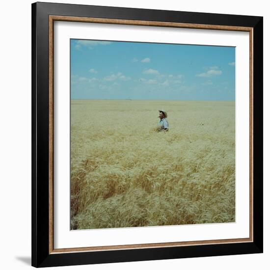 Harvest Story: Farmer Stands Chest Deep in Wheat, Texas-Ralph Crane-Framed Photographic Print