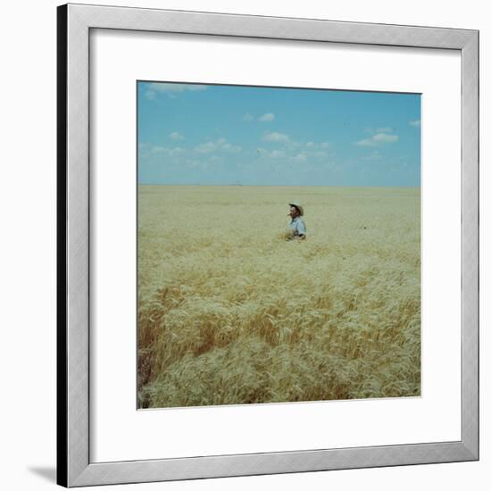 Harvest Story: Farmer Stands Chest Deep in Wheat, Texas-Ralph Crane-Framed Photographic Print