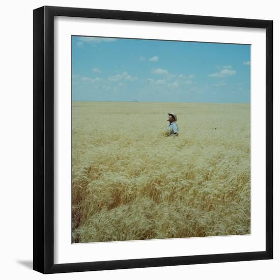 Harvest Story: Farmer Stands Chest Deep in Wheat, Texas-Ralph Crane-Framed Photographic Print
