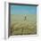 Harvest Story: Farmer Stands Chest Deep in Wheat, Texas-Ralph Crane-Framed Photographic Print