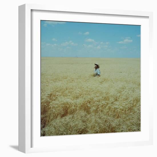 Harvest Story: Farmer Stands Chest Deep in Wheat, Texas-Ralph Crane-Framed Photographic Print