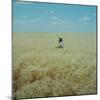 Harvest Story: Farmer Stands Chest Deep in Wheat, Texas-Ralph Crane-Mounted Photographic Print