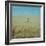 Harvest Story: Farmer Stands Chest Deep in Wheat, Texas-Ralph Crane-Framed Photographic Print