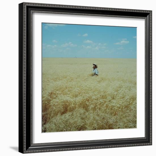 Harvest Story: Farmer Stands Chest Deep in Wheat, Texas-Ralph Crane-Framed Photographic Print