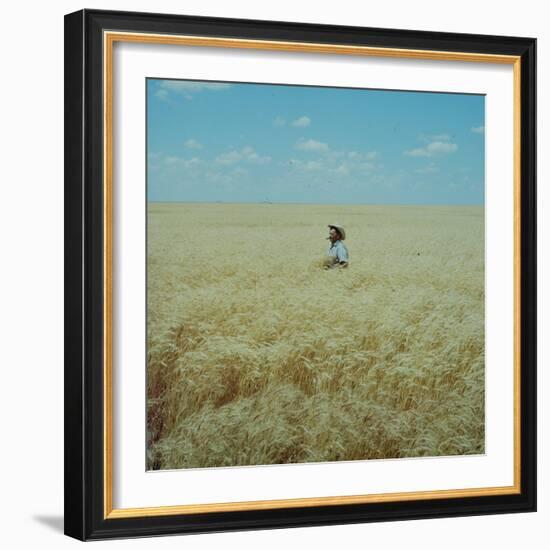 Harvest Story: Farmer Stands Chest Deep in Wheat, Texas-Ralph Crane-Framed Photographic Print