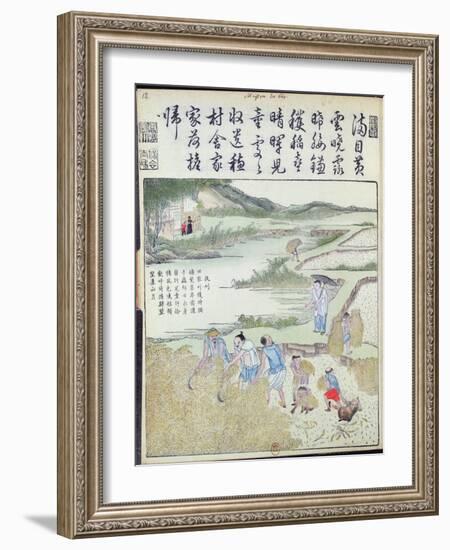 Harvest, the Rice Culture in China-null-Framed Giclee Print