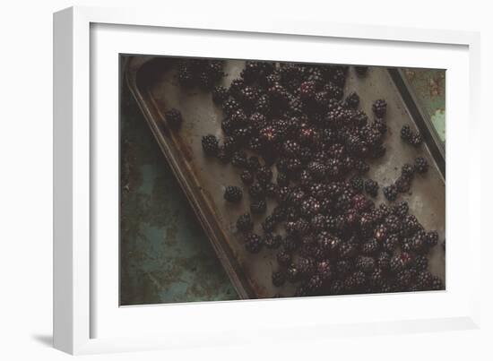 Harvest Time At An Organic Farm In Ventura, California-Rebecca Gaal-Framed Photographic Print