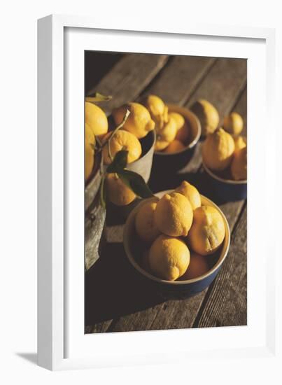 Harvest Time At An Organic Farm In Ventura, California-Rebecca Gaal-Framed Photographic Print