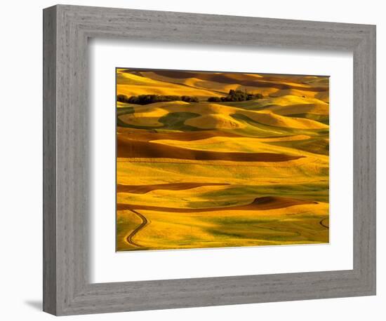 Harvest Time Fields, Palouse, Washington, USA-Terry Eggers-Framed Photographic Print