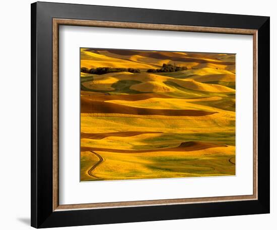 Harvest Time Fields, Palouse, Washington, USA-Terry Eggers-Framed Photographic Print