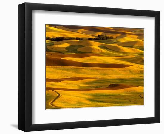 Harvest Time Fields, Palouse, Washington, USA-Terry Eggers-Framed Photographic Print