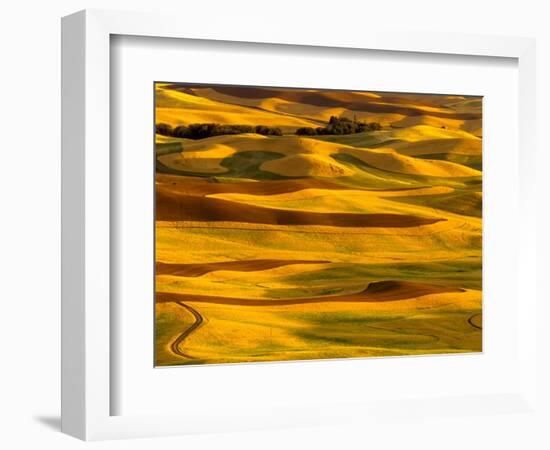 Harvest Time Fields, Palouse, Washington, USA-Terry Eggers-Framed Photographic Print