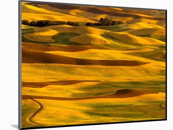 Harvest Time Fields, Palouse, Washington, USA-Terry Eggers-Mounted Photographic Print