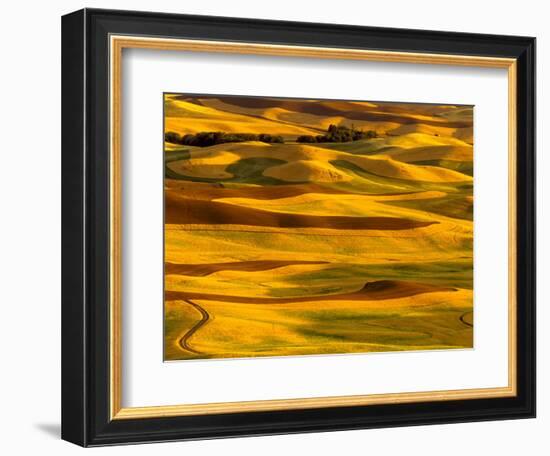 Harvest Time Fields, Palouse, Washington, USA-Terry Eggers-Framed Photographic Print