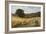 Harvest Time Near Holmbury Hill, Surrey, 1865-George Vicat Cole-Framed Giclee Print