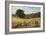 Harvest Time Near Holmbury Hill, Surrey, 1865-George Vicat Cole-Framed Giclee Print