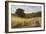 Harvest Time Near Holmbury Hill, Surrey, 1865-George Vicat Cole-Framed Giclee Print