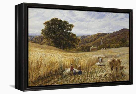 Harvest Time Near Holmbury Hill, Surrey, 1865-George Vicat Cole-Framed Premier Image Canvas